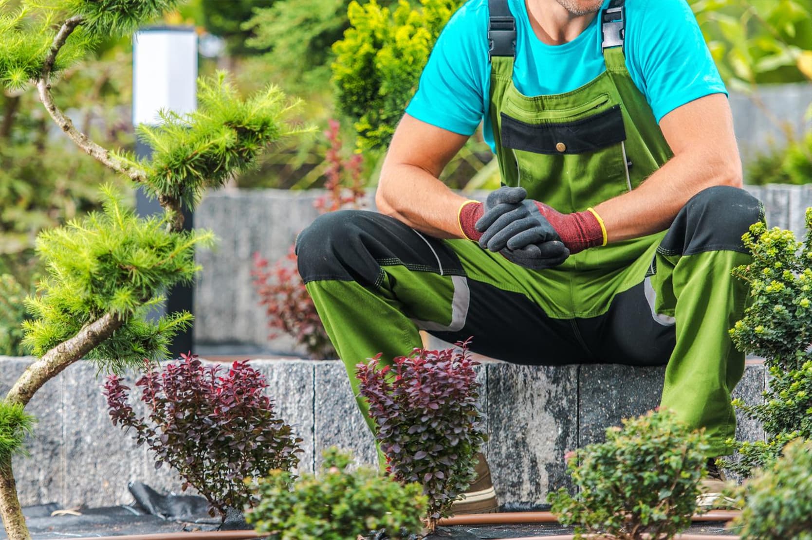Bookkeeping for Landscaping Companies