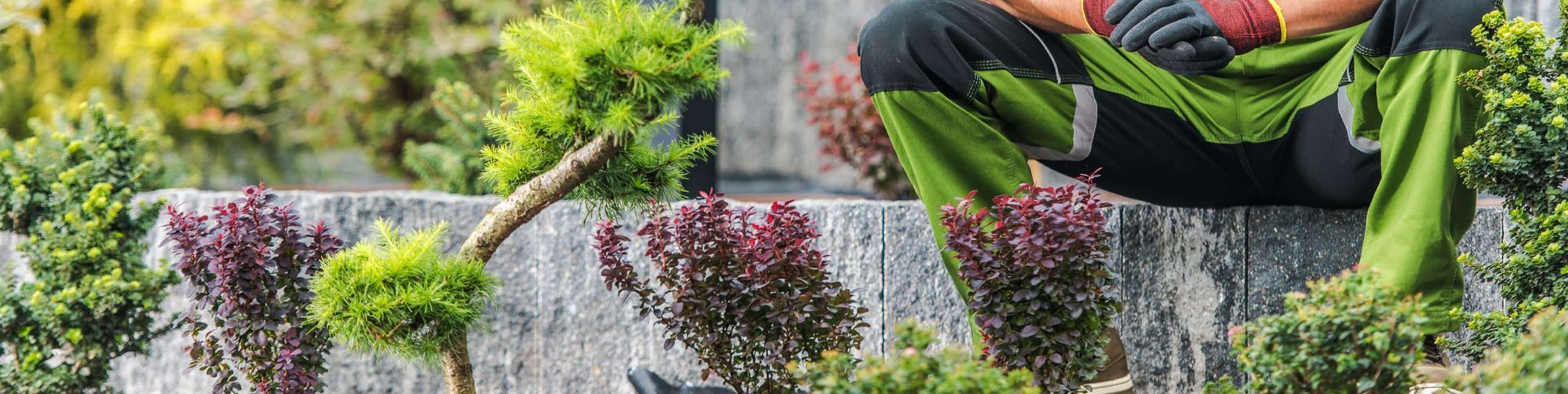 Bookkeeping for Landscaping Companies