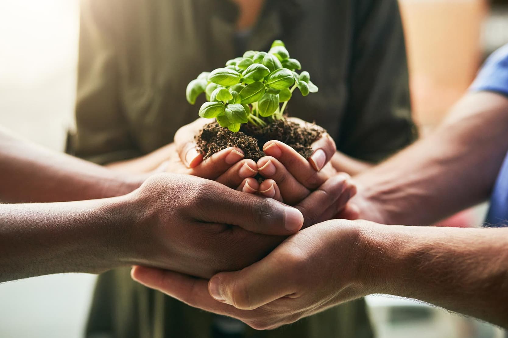 Bookkeeping for Nonprofits