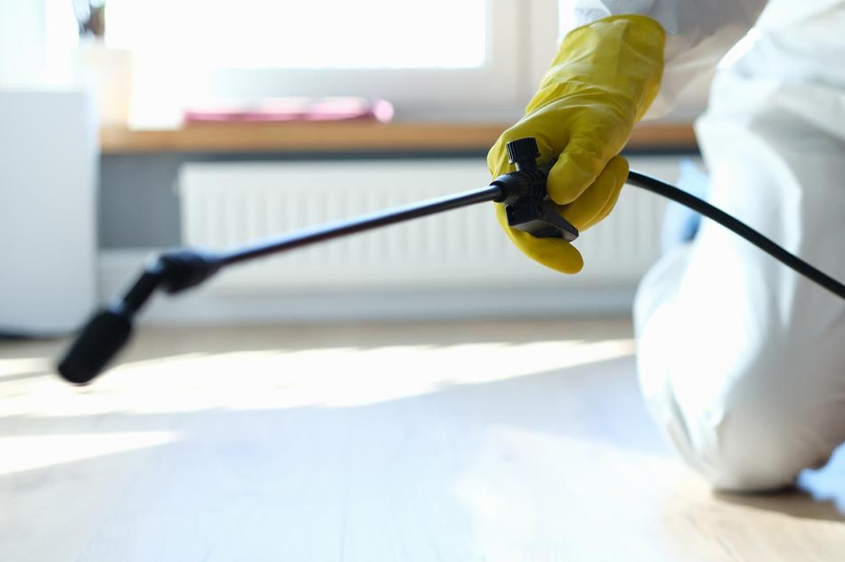 Bookkeeping for Pest Control Companies